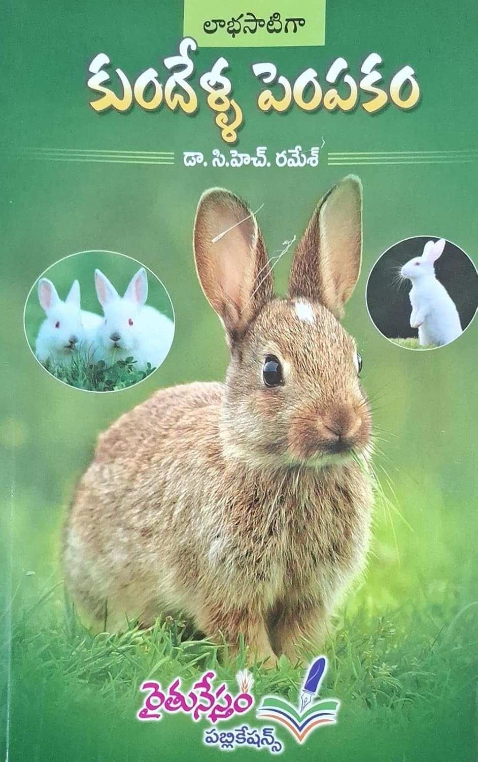 Labhasatiga Kundella Pempakam