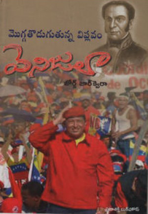 Mogga Todugutunna Viplavam Venujulaa