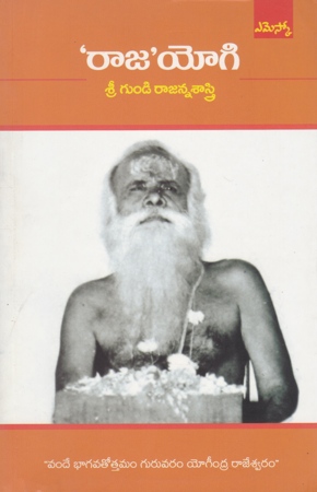 Raja Yogi